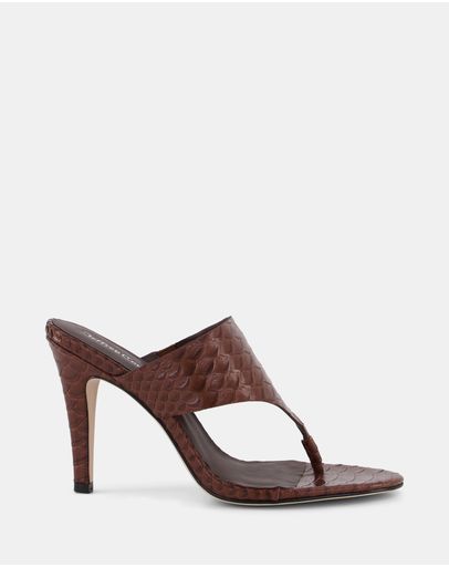 Brown Snake