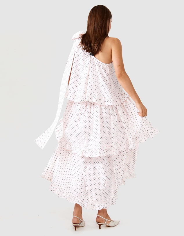 Binny - Plum Pudding Maxi Dress