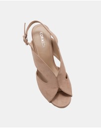 CoraSol - Clam