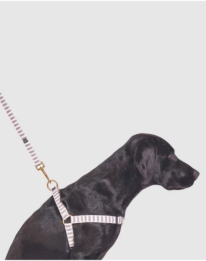 Mog & Bone - Hemp Dog Harness - Latte Mosaic Print