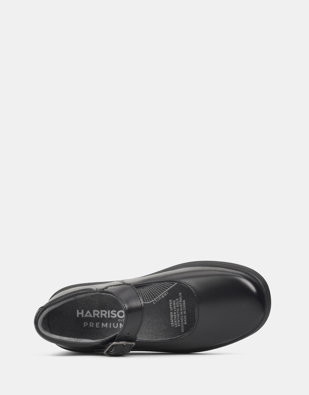 Harrison - Lexus Junior