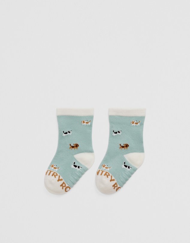 Country Road - Dog Sock