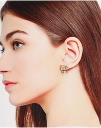 ALDO - Zarinna Earrings