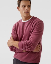Oxford - Leo Organic Cotton Sweatshirt