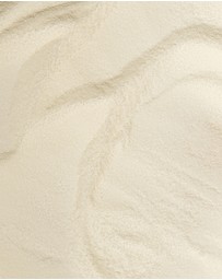 Inca Organics - Bioactive Collagen Peptides + Hyaluronic Acid + Vitamin C Wellness Powder (Unflavoured)