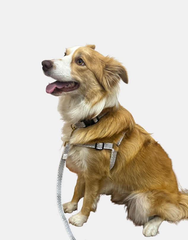 Mog & Bone - Multi-Function Hemp Dog Lead - Mocha Wave