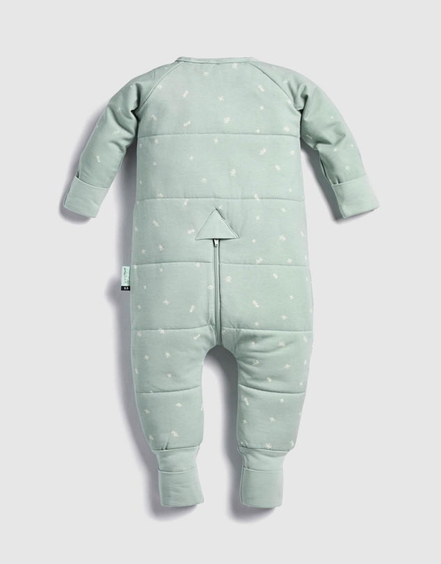 ergoPouch - Sleep Onesie 2.5 TOG
