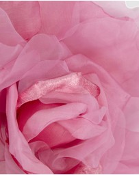 Fillies Collection - Large Hot Pink Flower Fascinator Headband