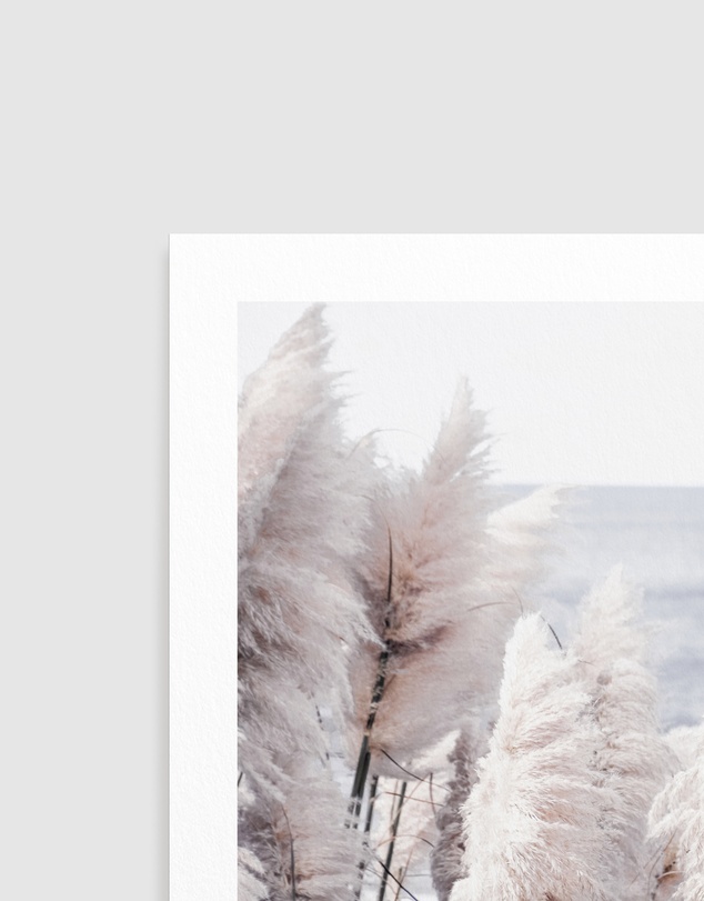 Olive et Oriel - Pampas By The Sea Art Print