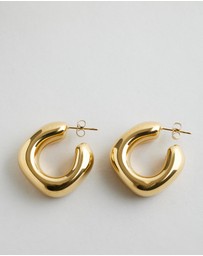 Native Sol - Sally Hoops