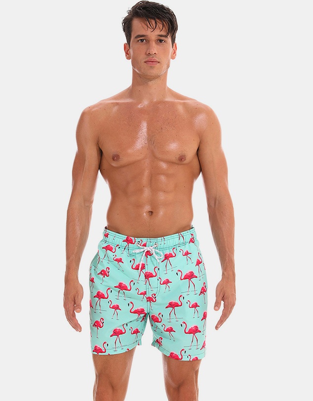 Vacancy Co - Lingo Swim Short