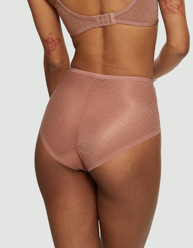 Triumph - Signature Sheer Maxi Brief