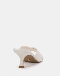 Novo - Zona Heels