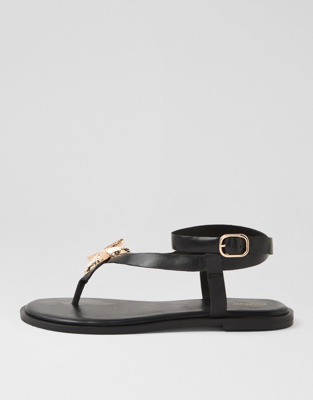 Mollini - East Mo