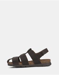 Hush Puppies - Seth