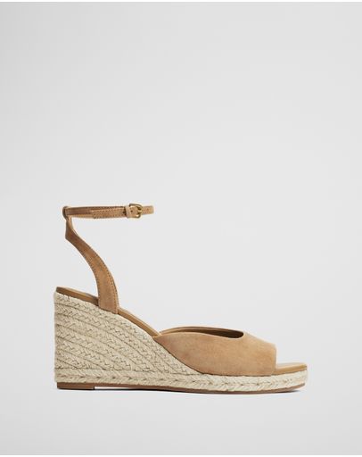 Camel