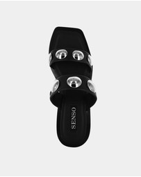 Senso - Kaylee II