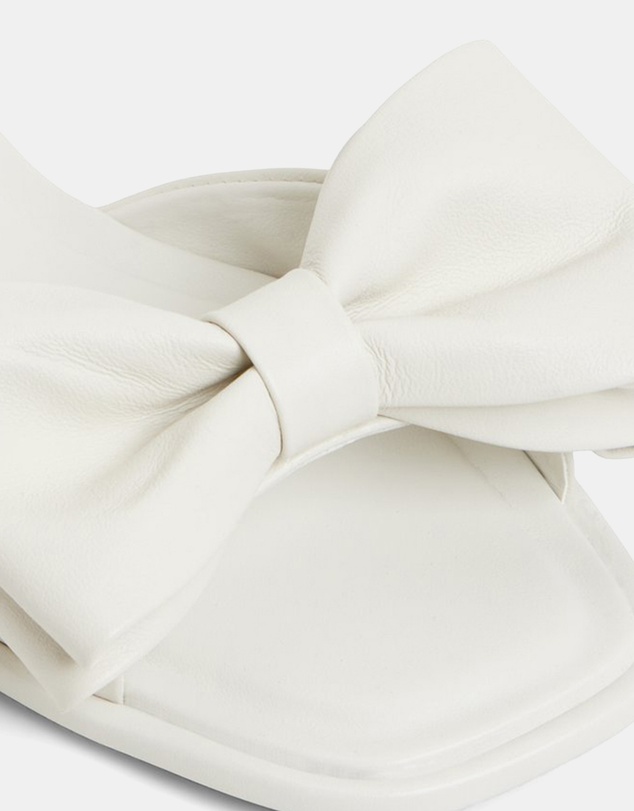 ALDO - Bowetta Ballerina & Flats
