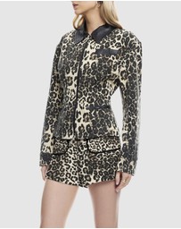 Lioness - Soho Shorts