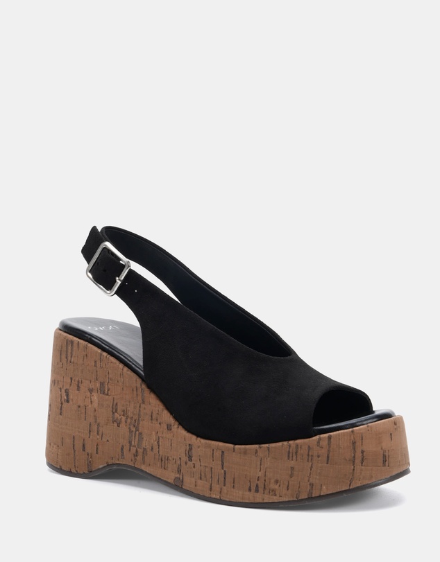 Novo - Belief Wedges