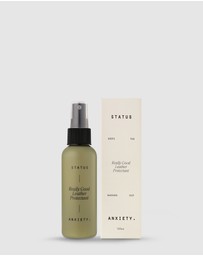 Status Anxiety - Leather Protectant