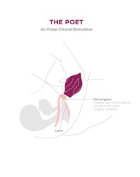 Smile Makers - The Poet