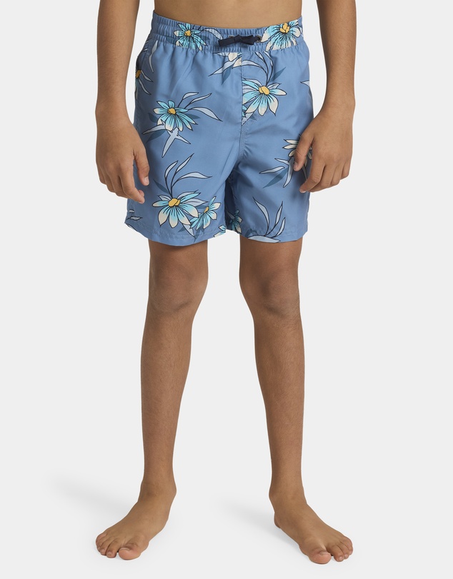 Quiksilver - Boys 8 to 16 Everyday 14