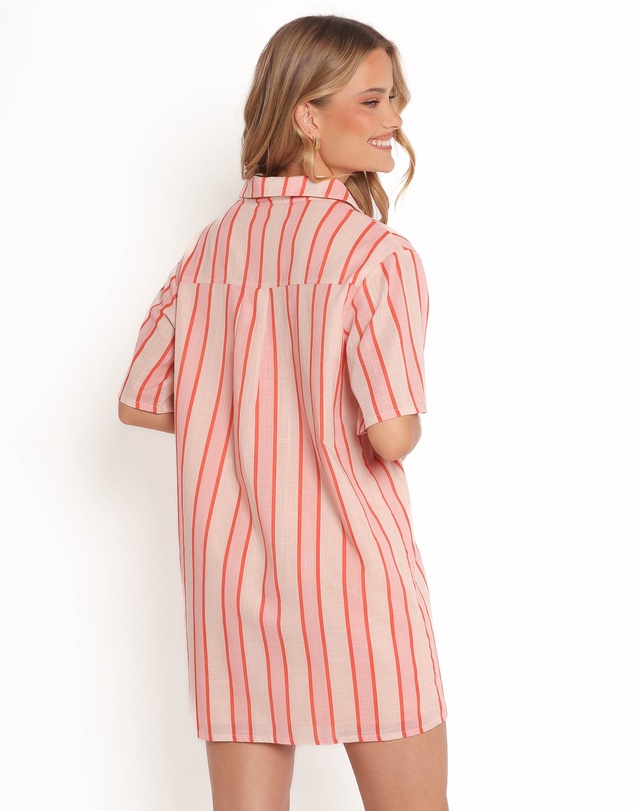 Petal & Pup - Norah Mini Dress - Pink Stripe