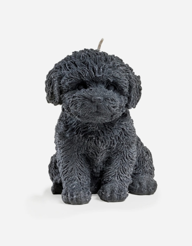 Love Ally - Cavoodle Candle
