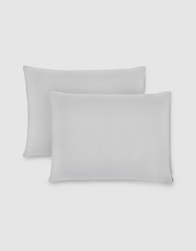 Shhh Silk - Silk Pillowcase Twin Pack - Queen Size