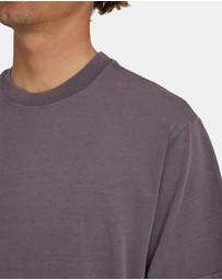 Billabong - Mens Premium Wave Wash T-Shirt