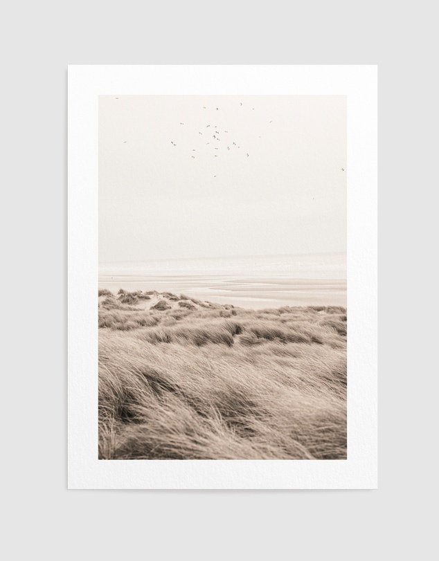 Olive et Oriel - Golden Dunes I Art Print