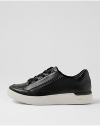 Rockport - Parissa Ro
