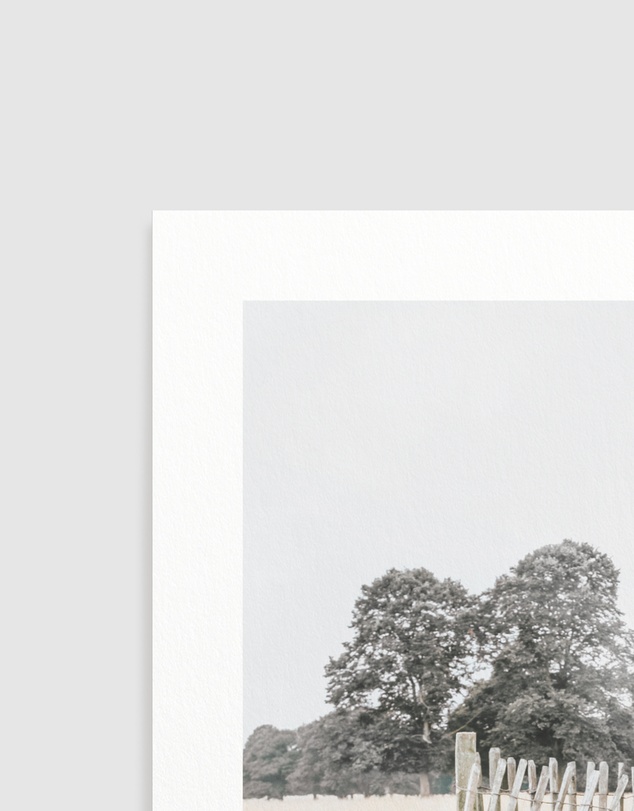 Olive et Oriel - Walk in the Fields Art Print