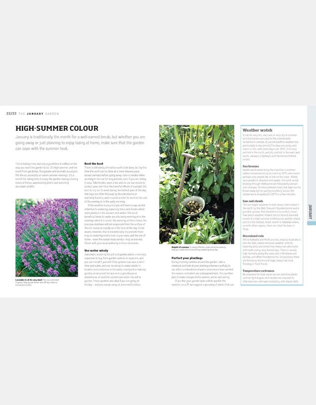 Brumby Sunstate - Gardening Through the Year in Australia