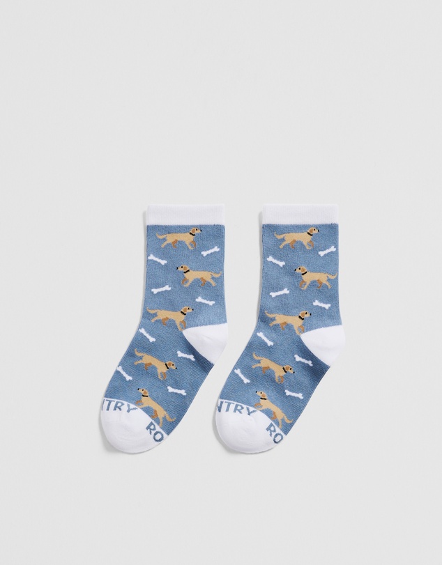 Country Road - Dog Sock