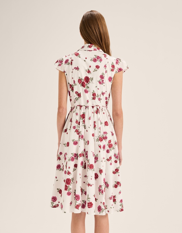 Review - Cameo Shirt Dress