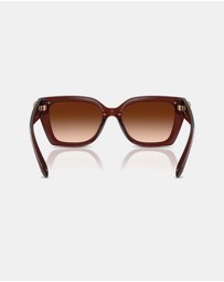 Coach - CW195