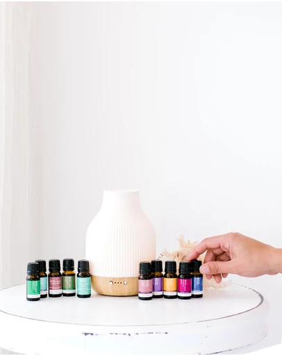 ECO. Modern Essentials - ECO. Coastal Diffuser & ECO. Favourites Collection