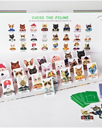 Journey Of Something - Guess the Feline