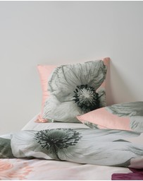 Linen House - Ellie European Pillowcase