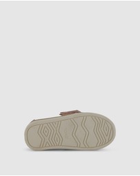 TOMS - Alpargata Classic - Toddler