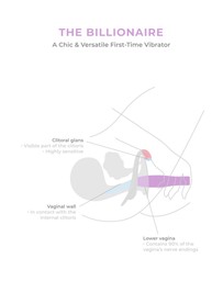 Smile Makers - The Billionaire