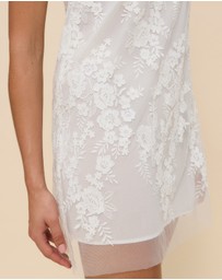 CHANCERY - Sierra Sheer Lace Mini Dress