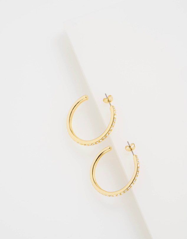 Ted Baker - CLANCI: Medium Crystal Hoop Earrings