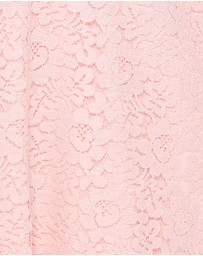 Petal & Pup - Cidel Mini Dress - Pink Lace