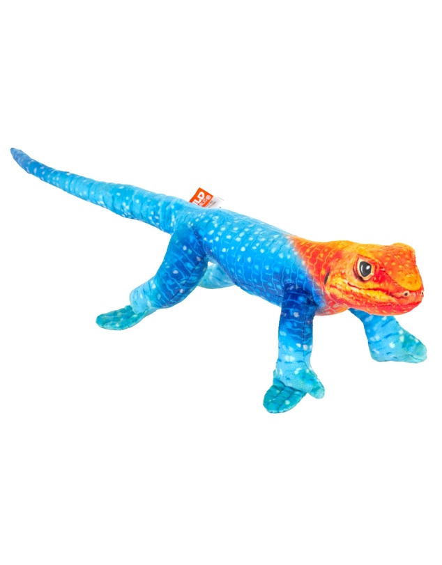 Wild Republic - Coilkins Lizard Rainbow 12" / 30cm