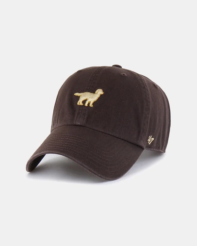 47 - Clean Up Icon Golden Retriever Cap