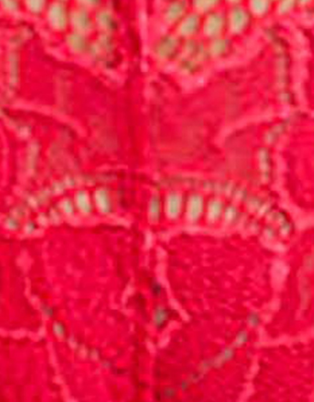 Sans Complexe - Arum Trend High Cut Lace Tanga Brief
