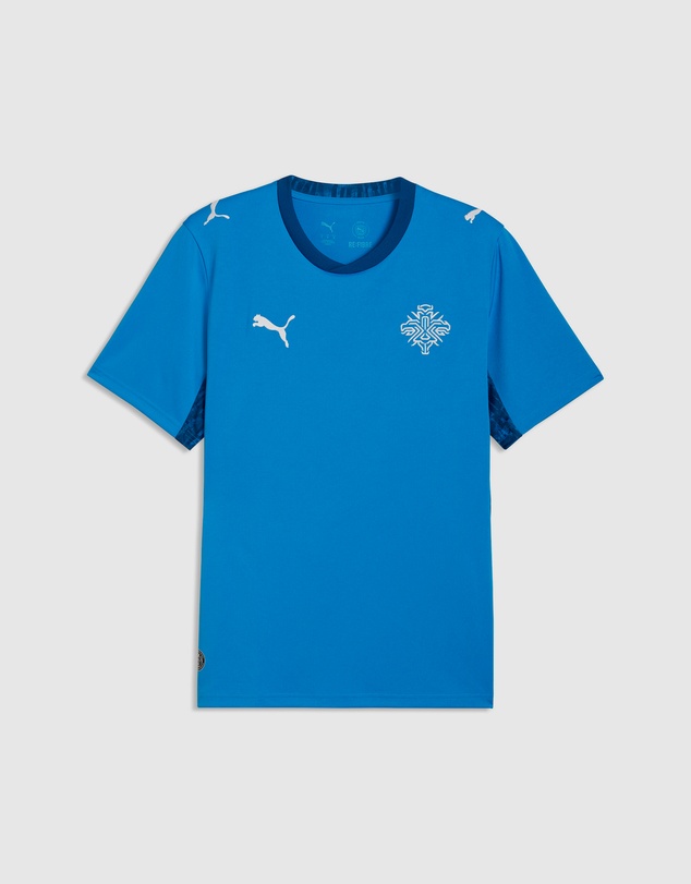 Puma - Iceland 2026 Home Jersey - Men